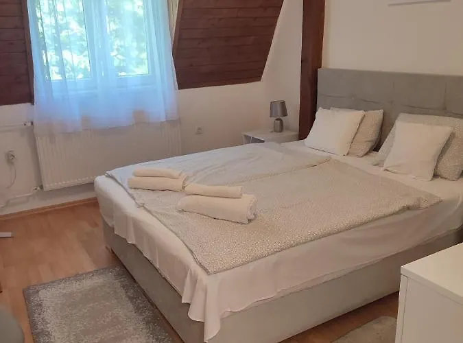 ゲストハウス Veronika ヘーヴィーズ